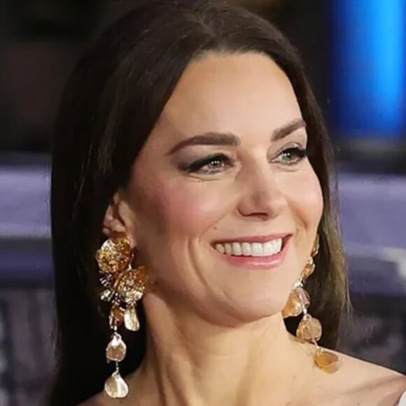 Silver Drop kate Middleton Statement Earrings!!!! NWOT!!!! - Picture 4 of 5